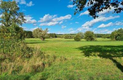 Zámeček na prodej 18461 Grenzin, Meklenbursko-Přední Pomořansko, Wiese rechts