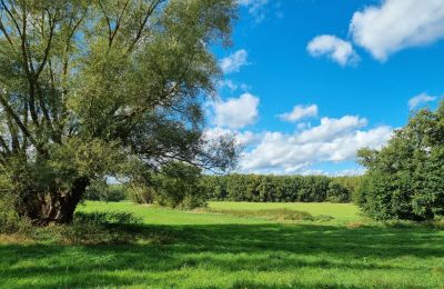 Zámeček na prodej 18461 Grenzin, Meklenbursko-Přední Pomořansko, Landschaft