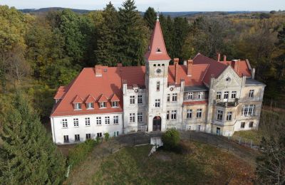 Zámek na prodej Grabiszyce Średnie, Dolní Slezsko, Foto z dronu