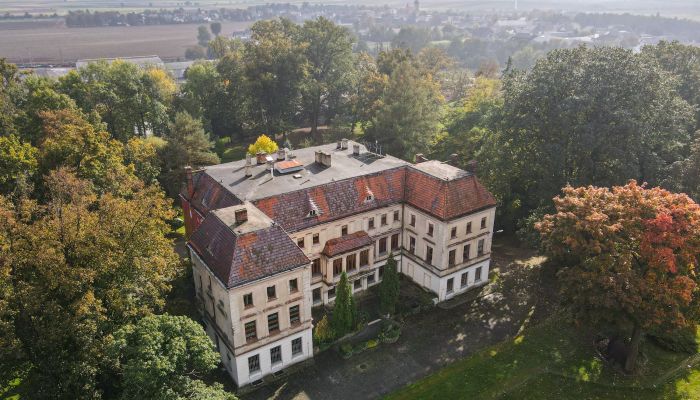 Zámek na prodej Wojnowice, województwo śląskie,  Polsko