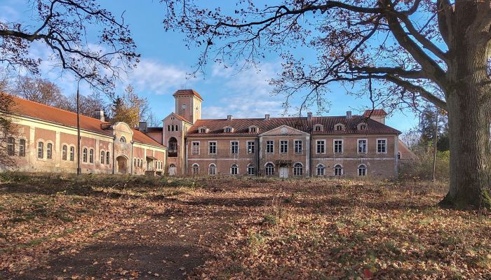 Zámek na prodej Dobrocin, województwo warmińsko-mazurskie,  Polsko