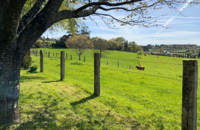 Venkovský dům na prodej Melide, Cabazás, Galicia, Campo de la propiedad