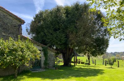 Venkovský dům na prodej Melide, Cabazás, Galicia, Terraza y jardín