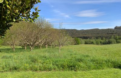 Statek na prodej Moeche, Sta Cruz de Moeche, Galicia, Pozemek