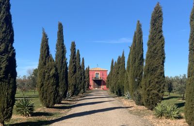 Venkovský dům na prodej Almagro, Almagro, Castilla-La Mancha, Entrada arbolada con cipreses