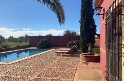 Venkovský dům na prodej Almagro, Almagro, Castilla-La Mancha, Piscina y solarium