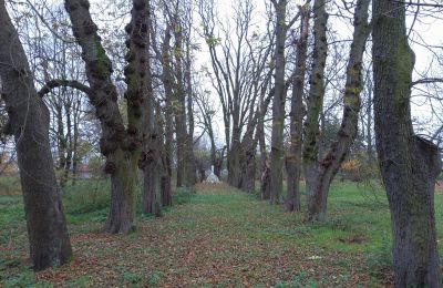 Zámek na prodej Karszew, Velkopolské, Přístup