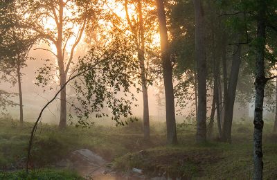 Zámeček na prodej Virķēni, Vidzeme, Foto 18/23