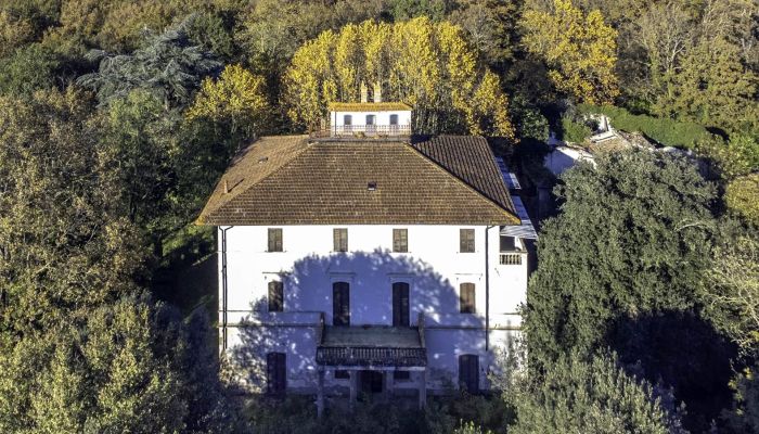 Historická vila Pontedera 3