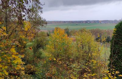 Zámeček na prodej Górki Małe, województwo łódzkie, Foto 9/20