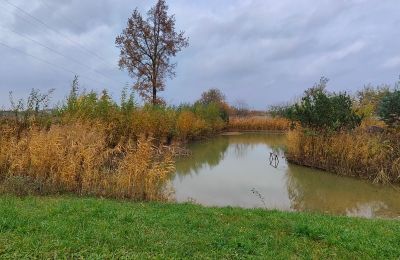 Zámeček na prodej Górki Małe, województwo łódzkie, Foto 11/20