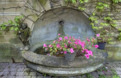 Historická vila na prodej Vernaison, Auvergne-Rhône-Alpes, Podrobnosti