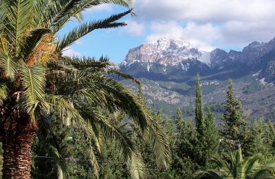 Venkovský dům na prodej Sóller, Cami de Cas Carreter 5, Baleárské ostrovy, Foto 7/12