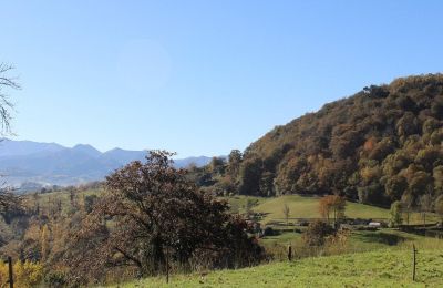 Zámeček na prodej Parres, Asturias, Výhled