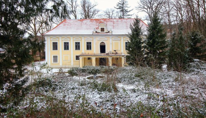 Zámek na prodej Plzeňský kraj, okres Klatovy, Klatovy,  Česko