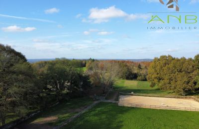 Zámeček na prodej Busserolles, Nouvelle-Aquitaine, Foto 15/27