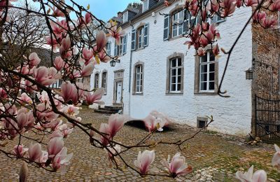 Zámek na prodej Astenet, Wallonie, Foto 11/22