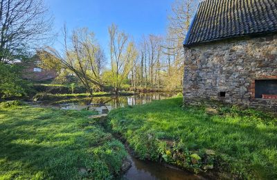 Zámek na prodej Astenet, Wallonie, Foto 15/22