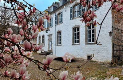 Zámek na prodej Astenet, Wallonie, Foto 11/28