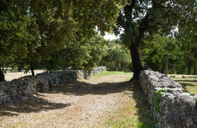 Historická nemovitost na prodej Occitanie, Foto 30/32