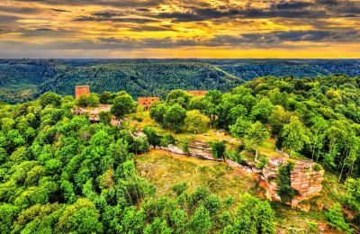 Hrad na prodej 67330 Dossenheim-sur-Zinsel, HUNEBOURG, Grand-Est, Umístění nemovitosti