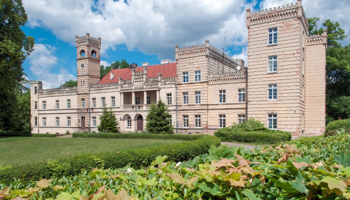 Zámek na prodej Gościeszyn, Velkopolské,  Polsko