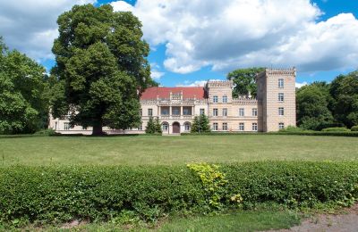 Zámek na prodej Gościeszyn, Pałac w Gościeszynie, Velkopolské, Pałac w Gościeszynie