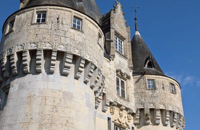 Zámek na prodej Chartres, Centre-Val de Loire, Podrobnosti