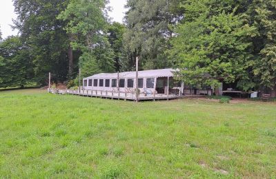 Zámeček na prodej Dawidy, Dwór w Dawidach, województwo warmińsko-mazurskie, Park