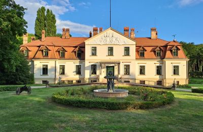 Zámeček na prodej Dawidy, Dwór w Dawidach, województwo warmińsko-mazurskie, Neighborhood: Kadyny