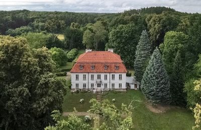 Zámeček na prodej Dawidy, Dwór w Dawidach, województwo warmińsko-mazurskie, Foto z dronu