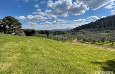 Venkovský dům na prodej Rivalto, Toscana, Výhled