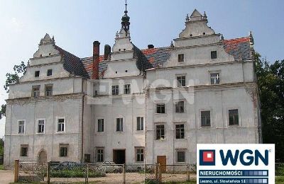 Zámek na prodej Wilków Wielki, Zamek w Wilkowie Wielkim, Dolní Slezsko,, Pohled zvenku