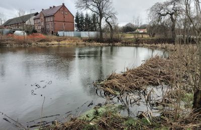 Zámek na prodej Bronów, Pałac w Bronowie, Dolní Slezsko, Jezero/rybník