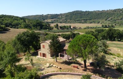 Landhus købe Montescudaio, Toscana, RIF 2185 Blick auf Anwesen