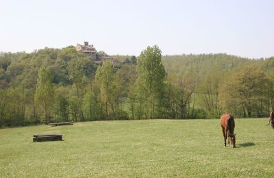 Landhus købe Arezzo, Toscana, RIF2262-lang22#RIF 2262 Pferdekoppeln mit Ausblick