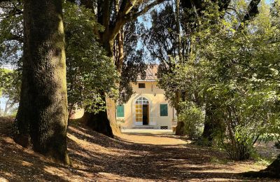 Historisk villa købe Siena, Toscana, RIF 2937 Blick auf Eingang