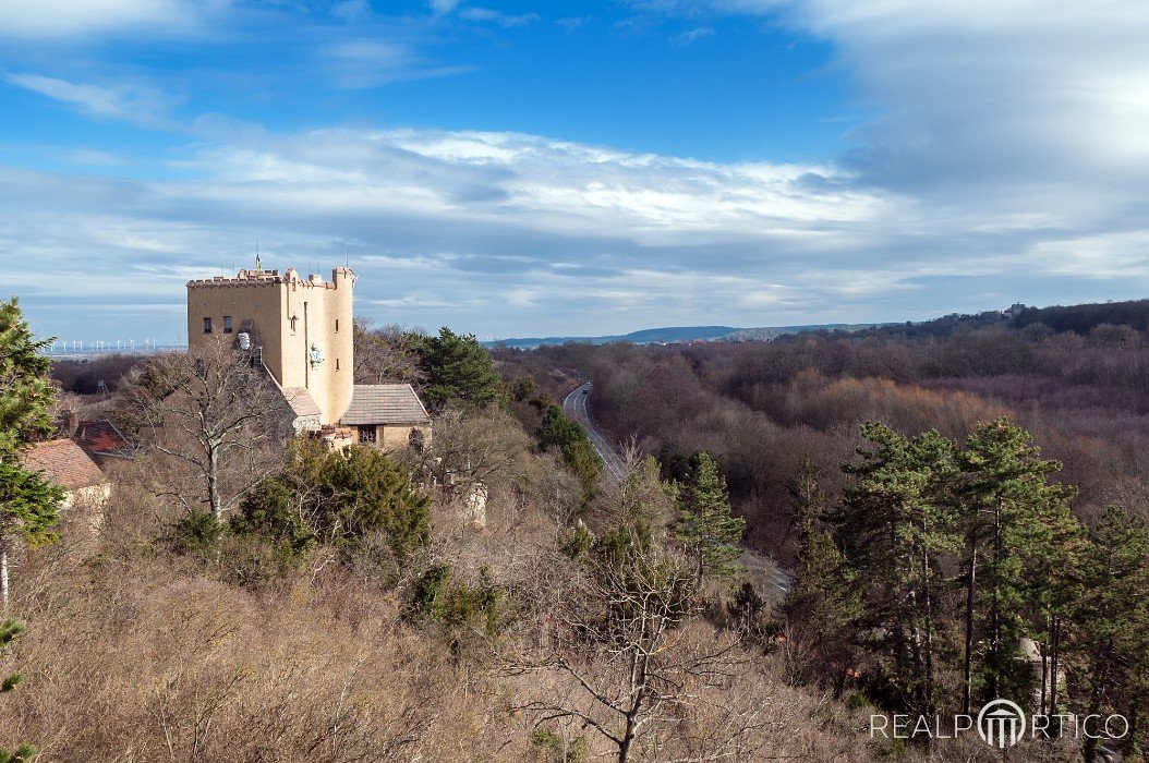 Schloss Roseburg , Ballenstedt